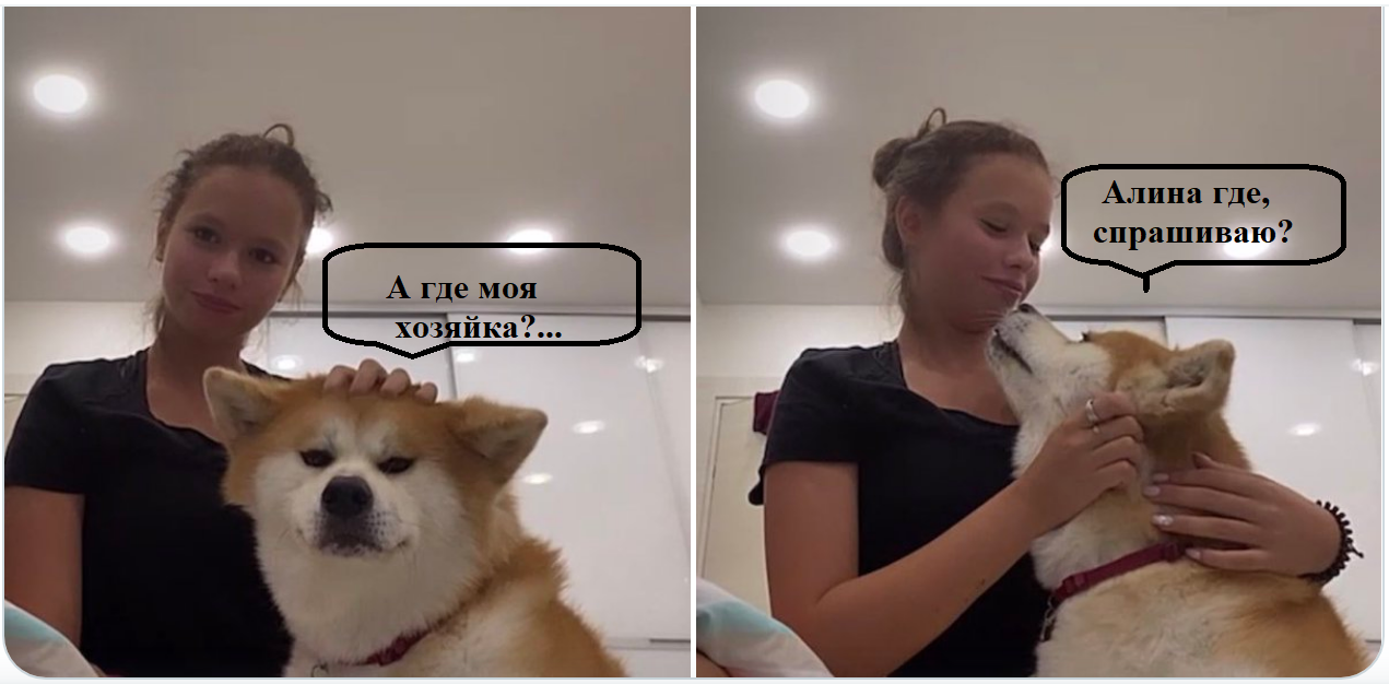 https://upforme.ru/uploads/0019/b5/94/59/837861.png