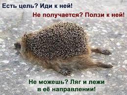 https://upforme.ru/uploads/0019/b7/31/16/t320656.jpg