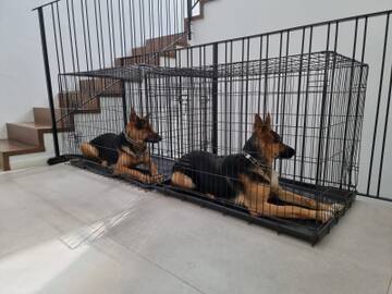 https://upforme.ru/uploads/0019/b7/31/2/t279334.jpg