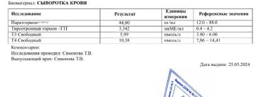 https://upforme.ru/uploads/0019/b7/31/681/t392804.jpg