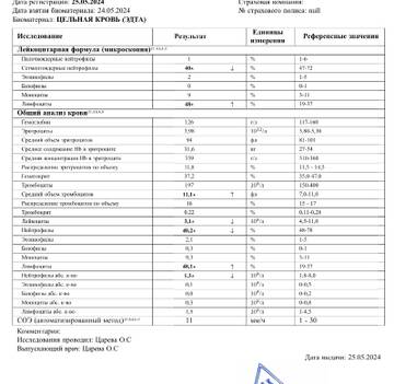 https://upforme.ru/uploads/0019/b7/31/681/t847979.jpg