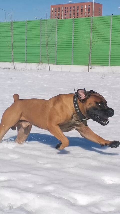 https://upforme.ru/uploads/0019/c5/a8/12/t156674.jpg