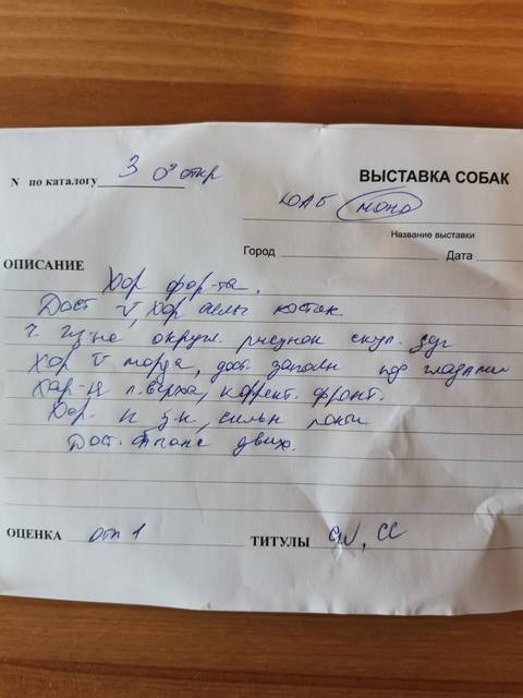 https://upforme.ru/uploads/0019/c5/a8/12/t487222.jpg