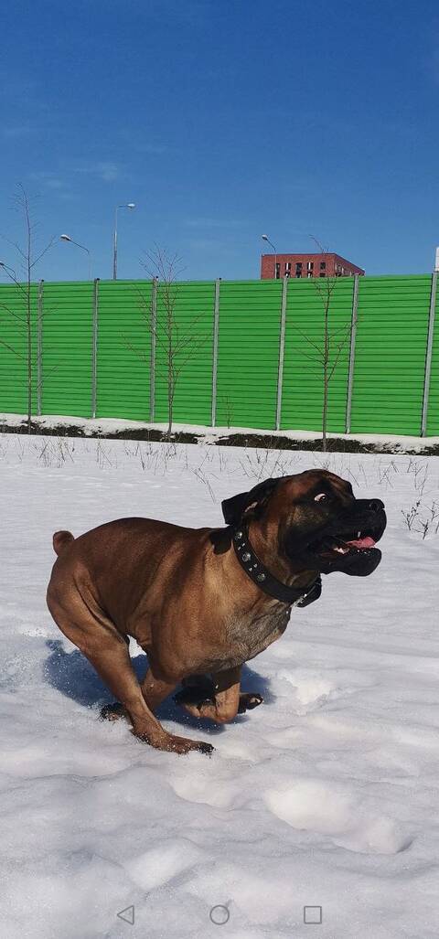 https://upforme.ru/uploads/0019/c5/a8/12/t511178.jpg
