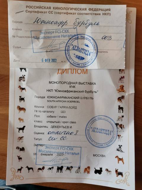 https://upforme.ru/uploads/0019/c5/a8/12/t599313.jpg