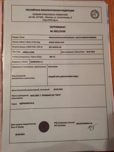 https://upforme.ru/uploads/0019/c5/a8/12/t996690.jpg