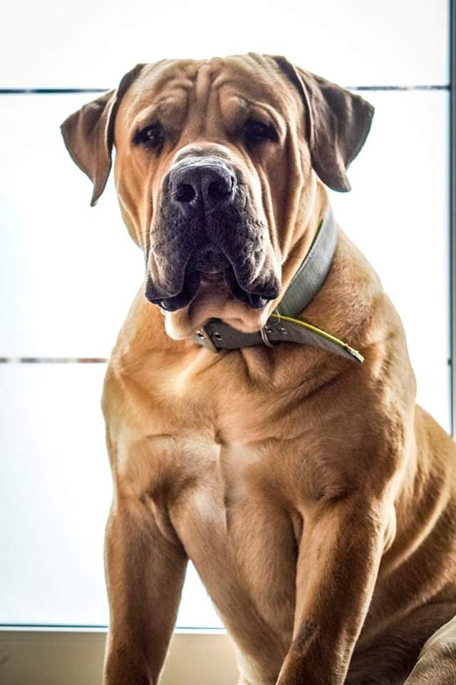 https://upforme.ru/uploads/0019/c5/a8/2/181939.jpg