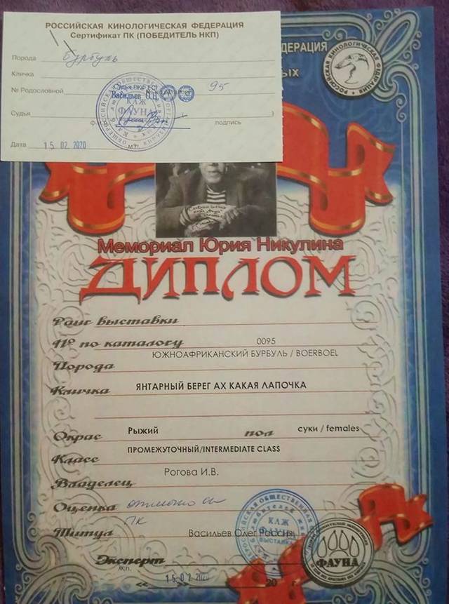 https://upforme.ru/uploads/0019/c5/a8/2/23500.jpg