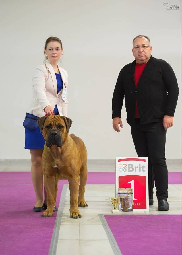 https://upforme.ru/uploads/0019/c5/a8/2/25717.jpg