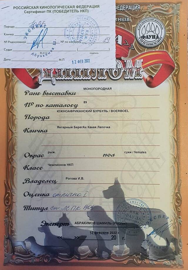 https://upforme.ru/uploads/0019/c5/a8/2/263934.jpg