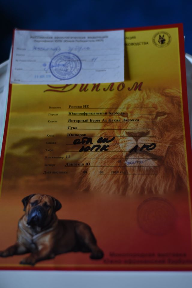 https://upforme.ru/uploads/0019/c5/a8/2/26513.jpg