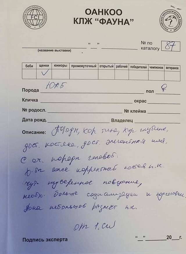 https://upforme.ru/uploads/0019/c5/a8/2/291961.jpg