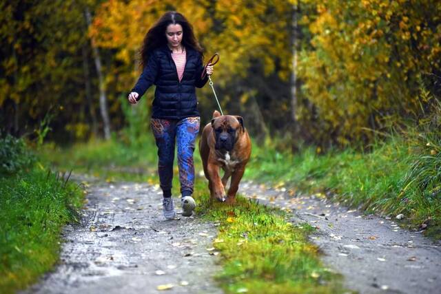 https://upforme.ru/uploads/0019/c5/a8/2/33237.jpg