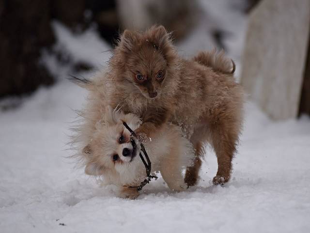 https://upforme.ru/uploads/0019/c5/a8/2/33543.jpg