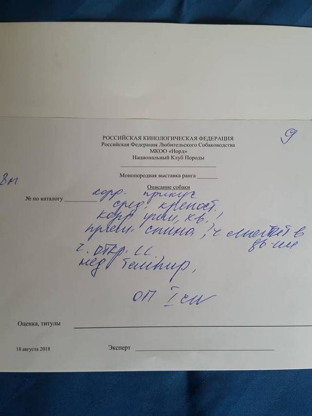 https://upforme.ru/uploads/0019/c5/a8/2/33972.jpg