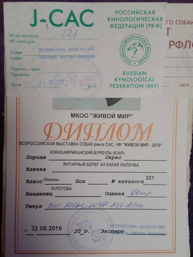 https://upforme.ru/uploads/0019/c5/a8/2/34634.jpg