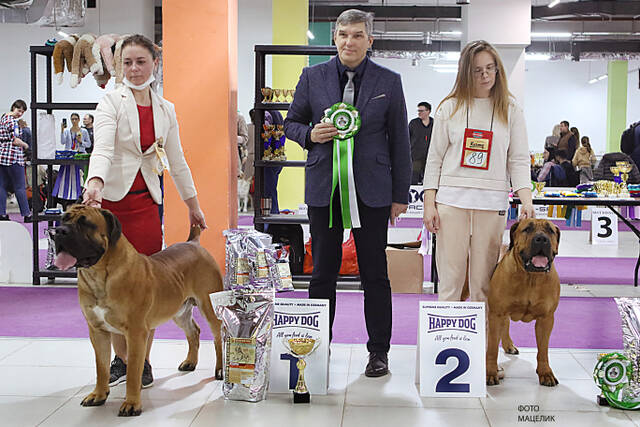 https://upforme.ru/uploads/0019/c5/a8/2/361063.jpg