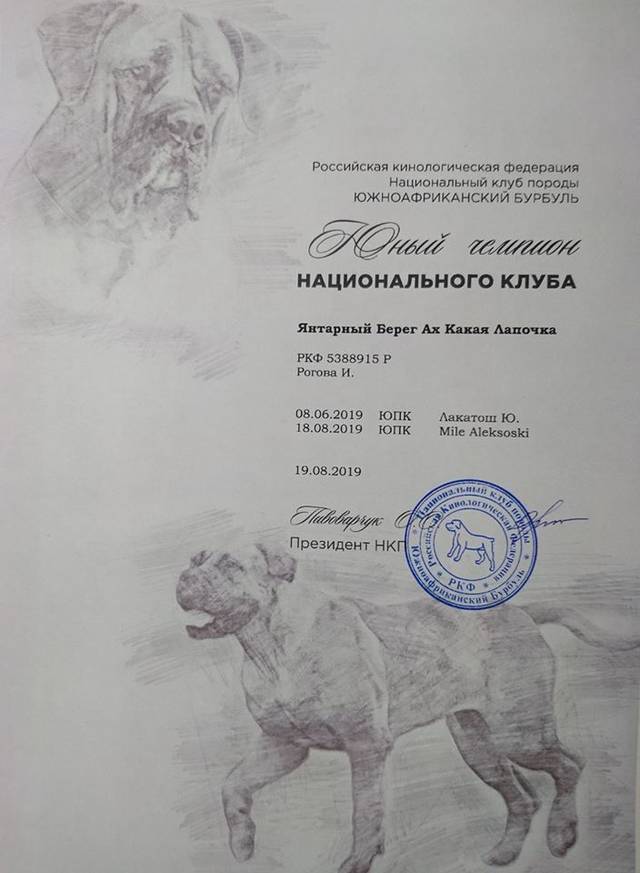 https://upforme.ru/uploads/0019/c5/a8/2/41929.jpg