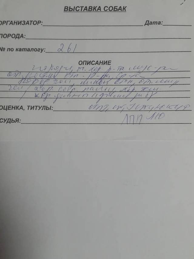 https://upforme.ru/uploads/0019/c5/a8/2/45470.jpg