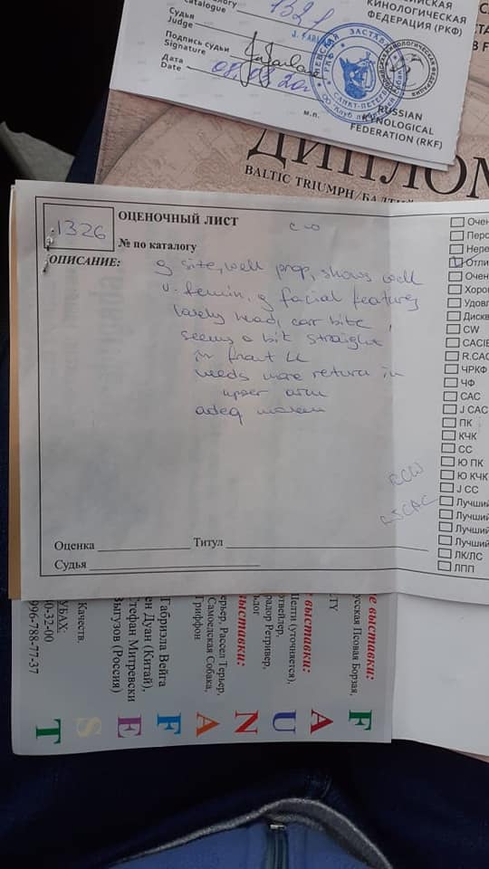 https://upforme.ru/uploads/0019/c5/a8/2/46539.jpg