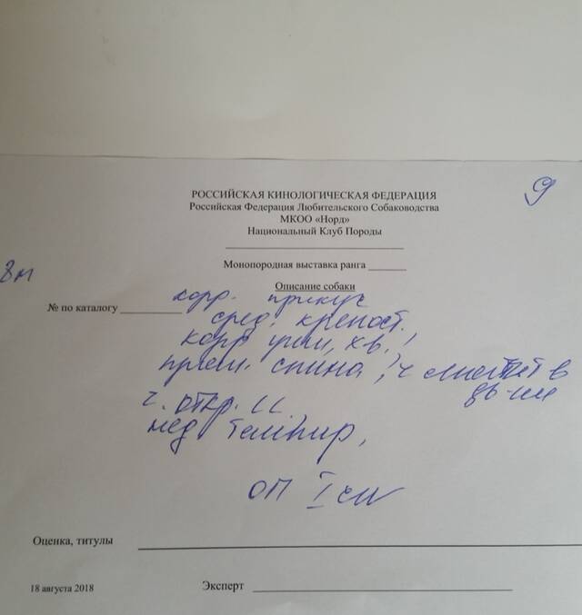 https://upforme.ru/uploads/0019/c5/a8/2/48954.jpg