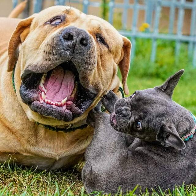 https://upforme.ru/uploads/0019/c5/a8/2/504575.jpg