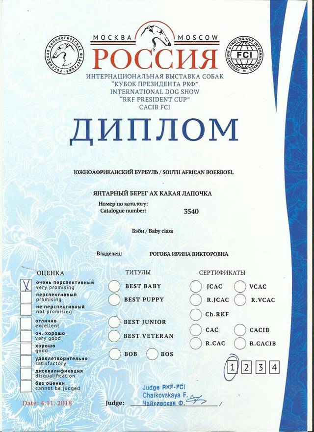 https://upforme.ru/uploads/0019/c5/a8/2/53321.jpg