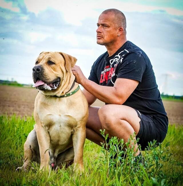 https://upforme.ru/uploads/0019/c5/a8/2/541224.jpg
