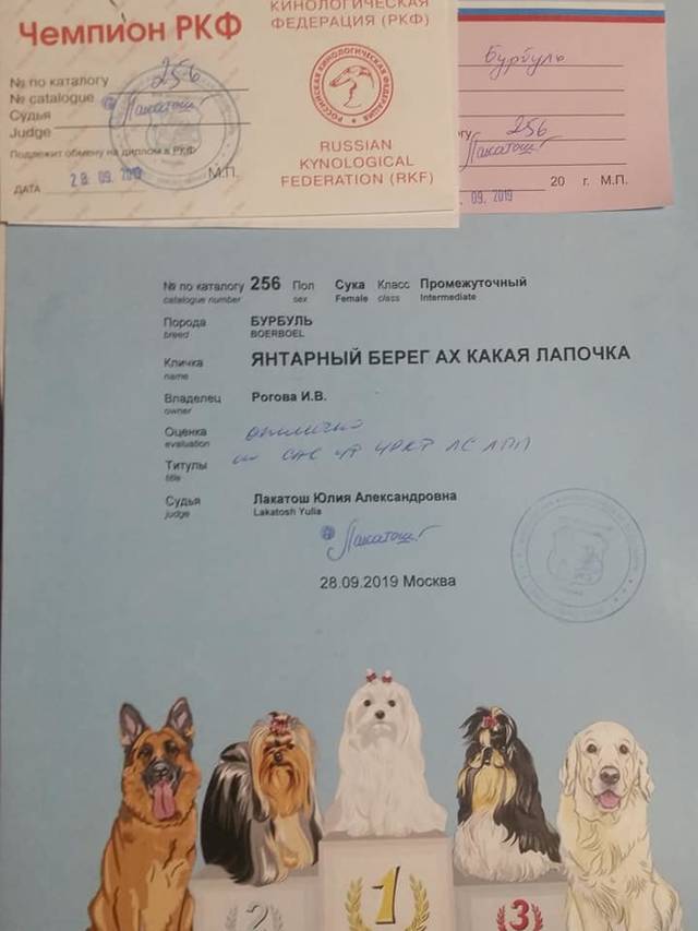 https://upforme.ru/uploads/0019/c5/a8/2/55996.jpg
