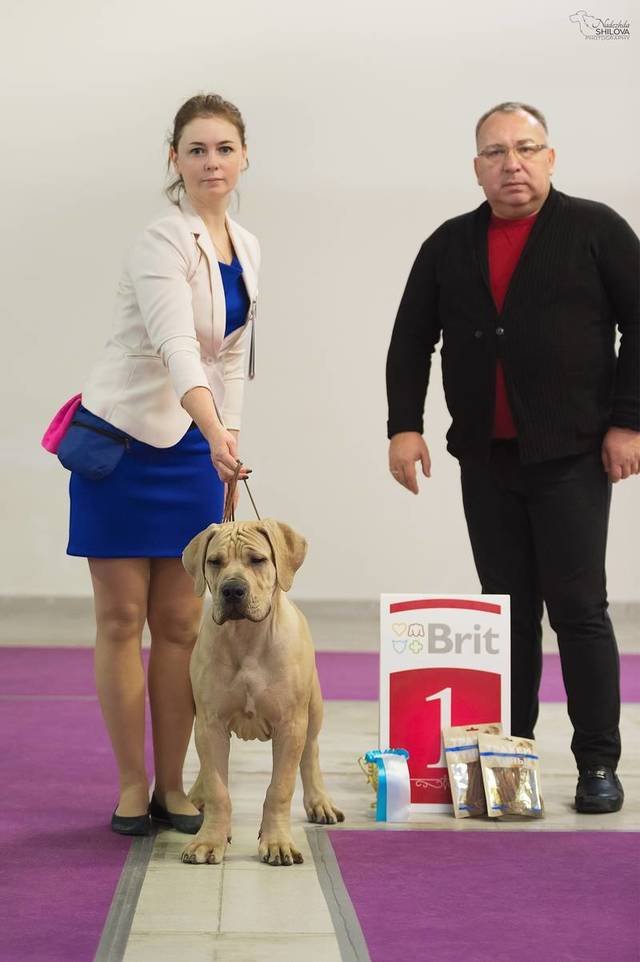 https://upforme.ru/uploads/0019/c5/a8/2/57570.jpg