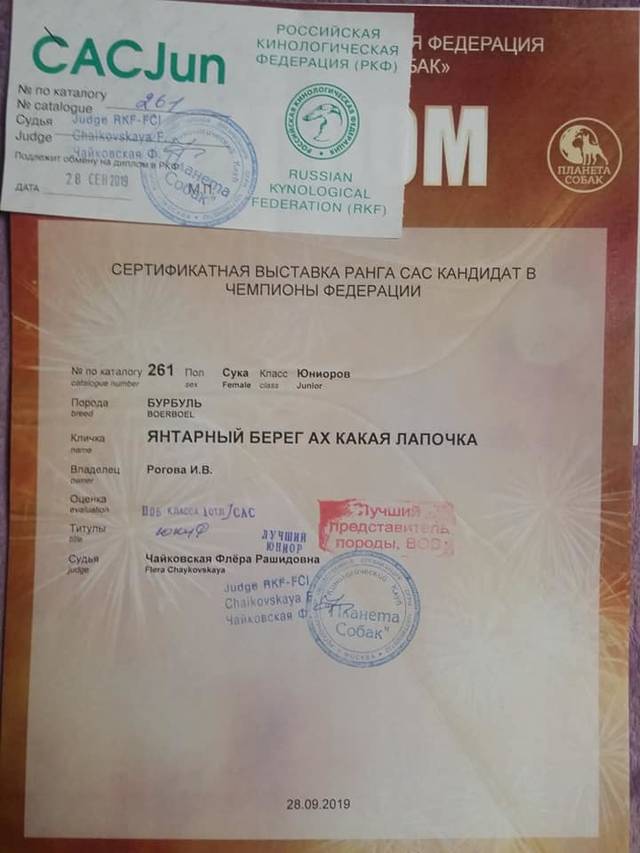 https://upforme.ru/uploads/0019/c5/a8/2/58477.jpg