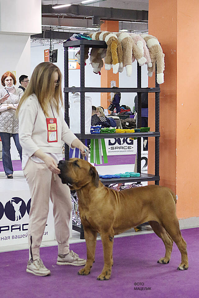 https://upforme.ru/uploads/0019/c5/a8/2/610798.jpg