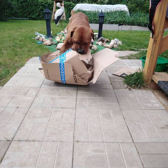 https://upforme.ru/uploads/0019/c5/a8/2/67760.jpg