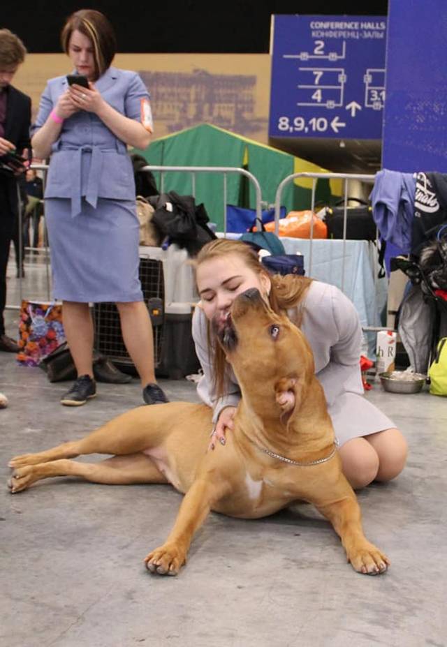 https://upforme.ru/uploads/0019/c5/a8/2/68580.jpg
