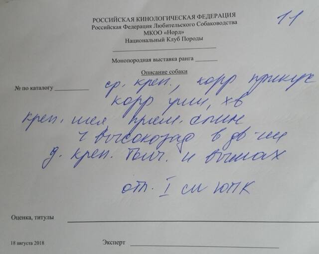 https://upforme.ru/uploads/0019/c5/a8/2/726439.jpg