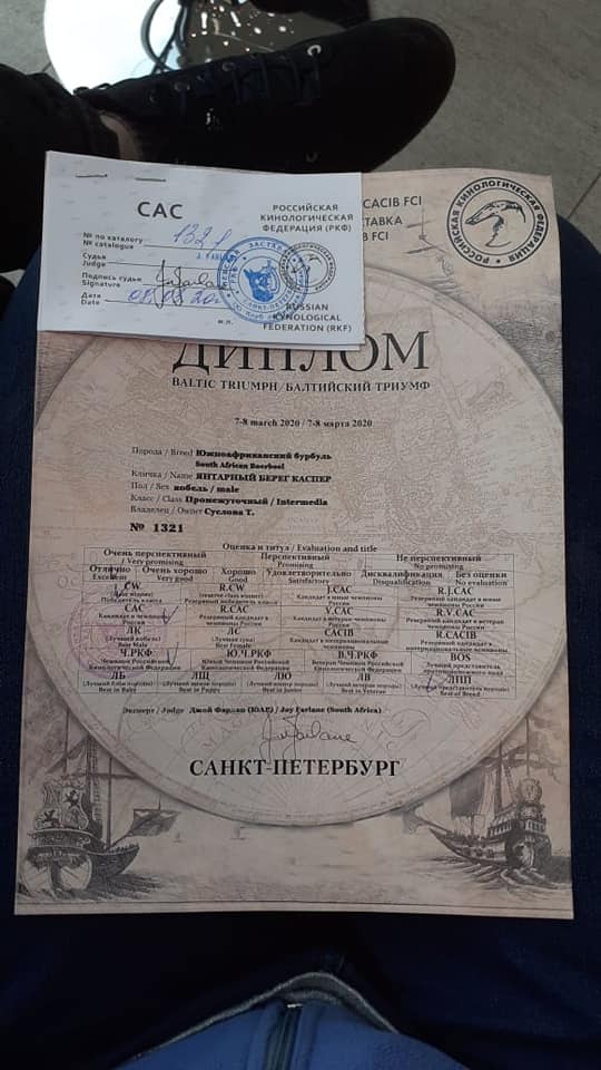 https://upforme.ru/uploads/0019/c5/a8/2/82849.jpg