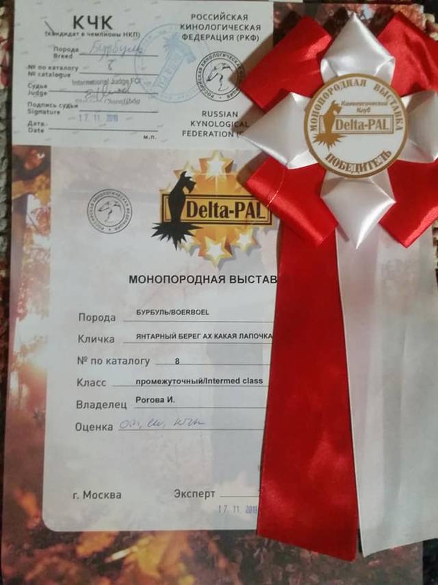 https://upforme.ru/uploads/0019/c5/a8/2/86447.jpg