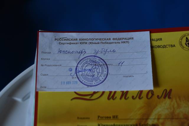https://upforme.ru/uploads/0019/c5/a8/2/86844.jpg