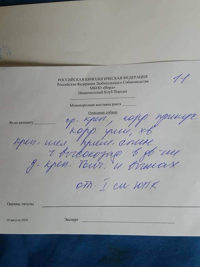 https://upforme.ru/uploads/0019/c5/a8/2/87170.jpg