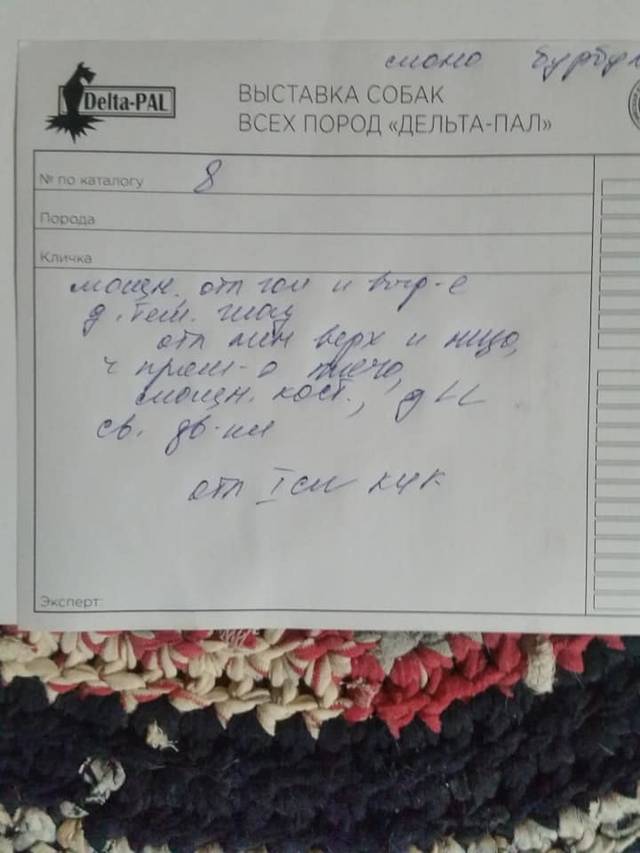 https://upforme.ru/uploads/0019/c5/a8/2/89629.jpg