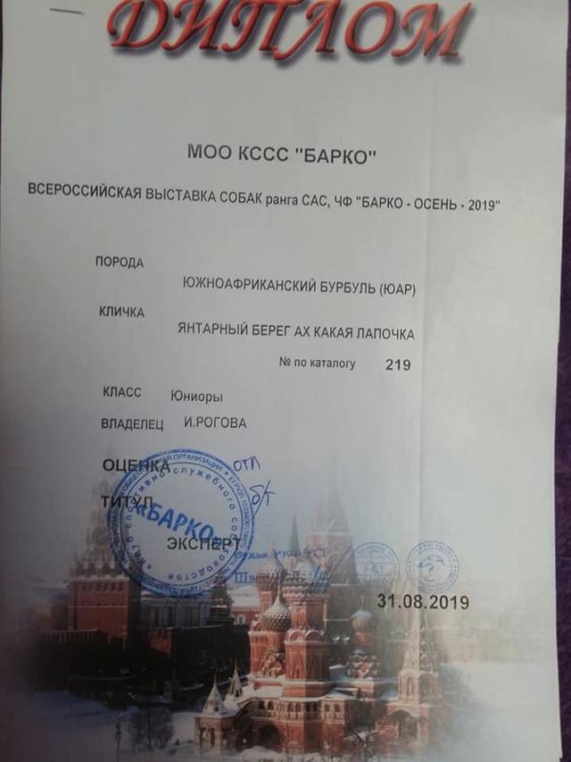 https://upforme.ru/uploads/0019/c5/a8/2/89933.jpg