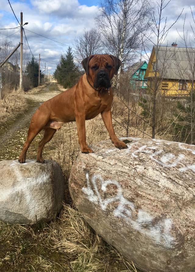 https://upforme.ru/uploads/0019/c5/a8/2/91546.jpg