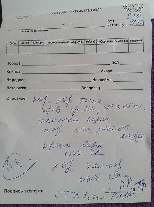 https://upforme.ru/uploads/0019/c5/a8/2/94242.jpg
