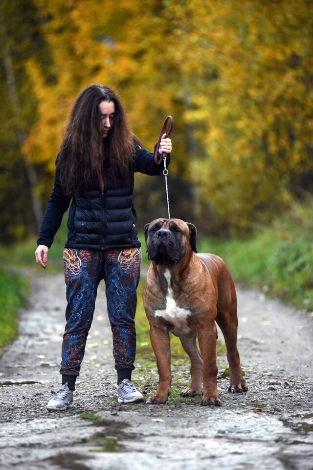 https://upforme.ru/uploads/0019/c5/a8/2/978070.jpg
