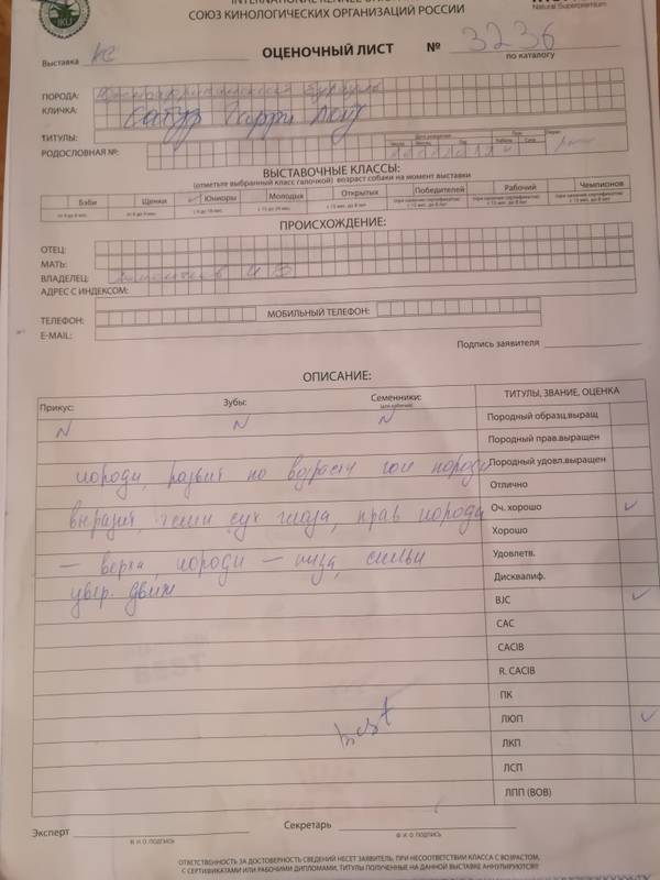 https://upforme.ru/uploads/0019/c5/a8/8/t263913.jpg