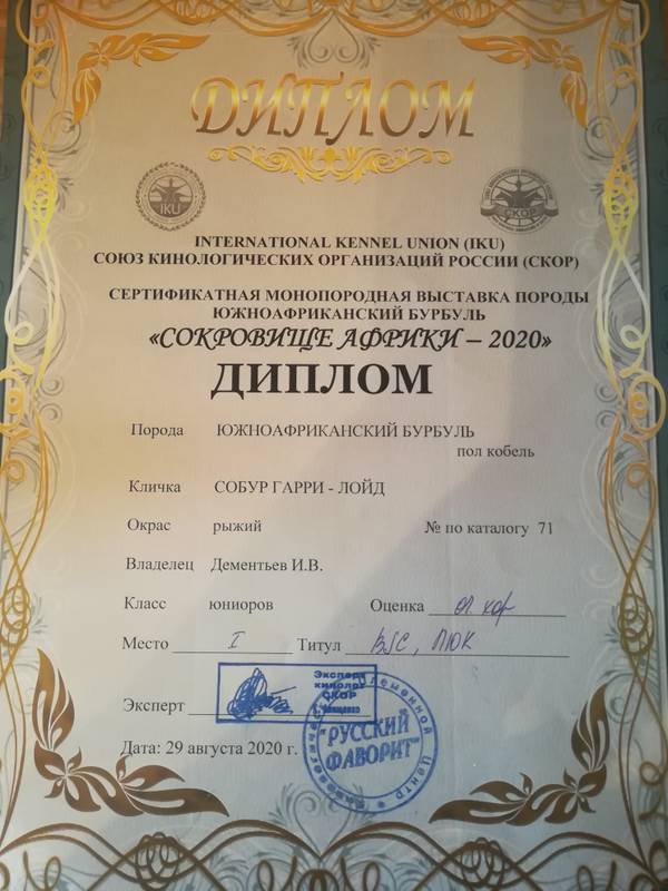 https://upforme.ru/uploads/0019/c5/a8/8/t450347.jpg