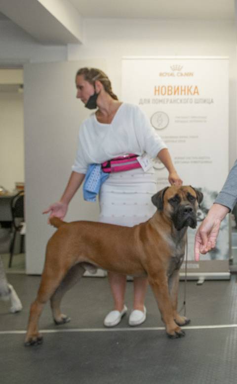 https://upforme.ru/uploads/0019/c5/a8/8/t551892.jpg