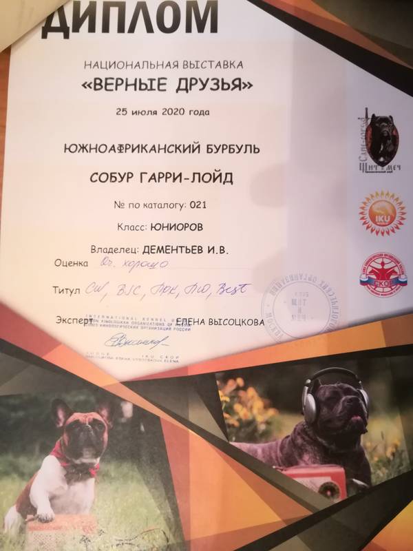 https://upforme.ru/uploads/0019/c5/a8/8/t578412.jpg