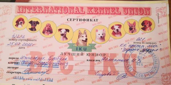 https://upforme.ru/uploads/0019/c5/a8/8/t638280.jpg