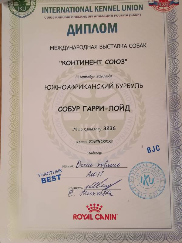 https://upforme.ru/uploads/0019/c5/a8/8/t809861.jpg